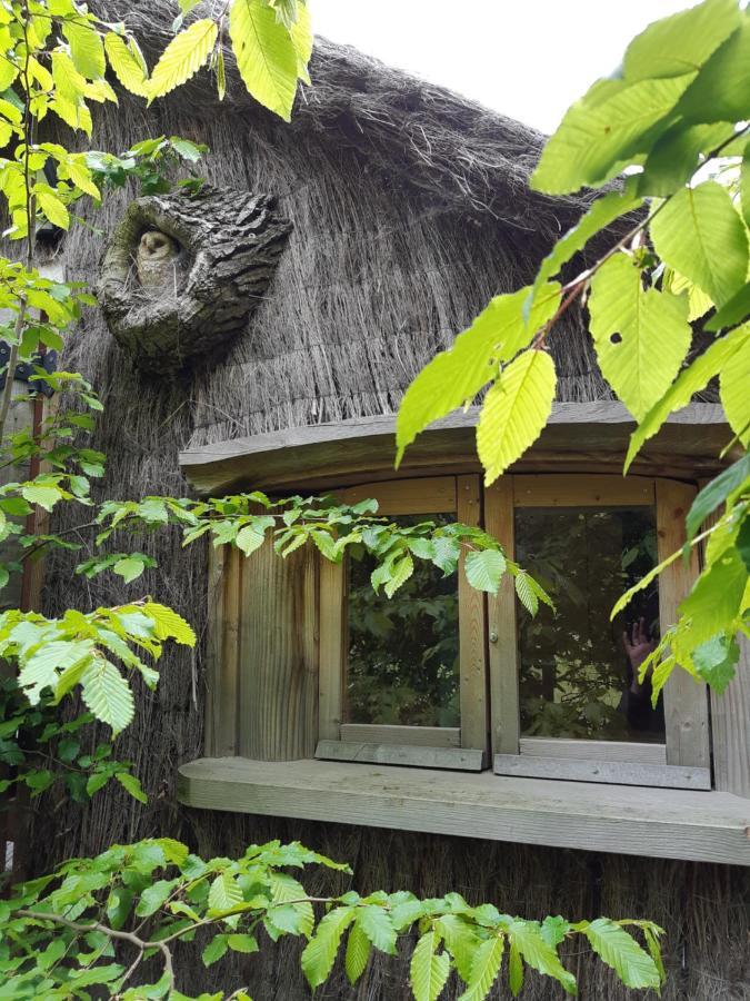 Cabane D'Augustin Saint-Augustin  Exteriér fotografie