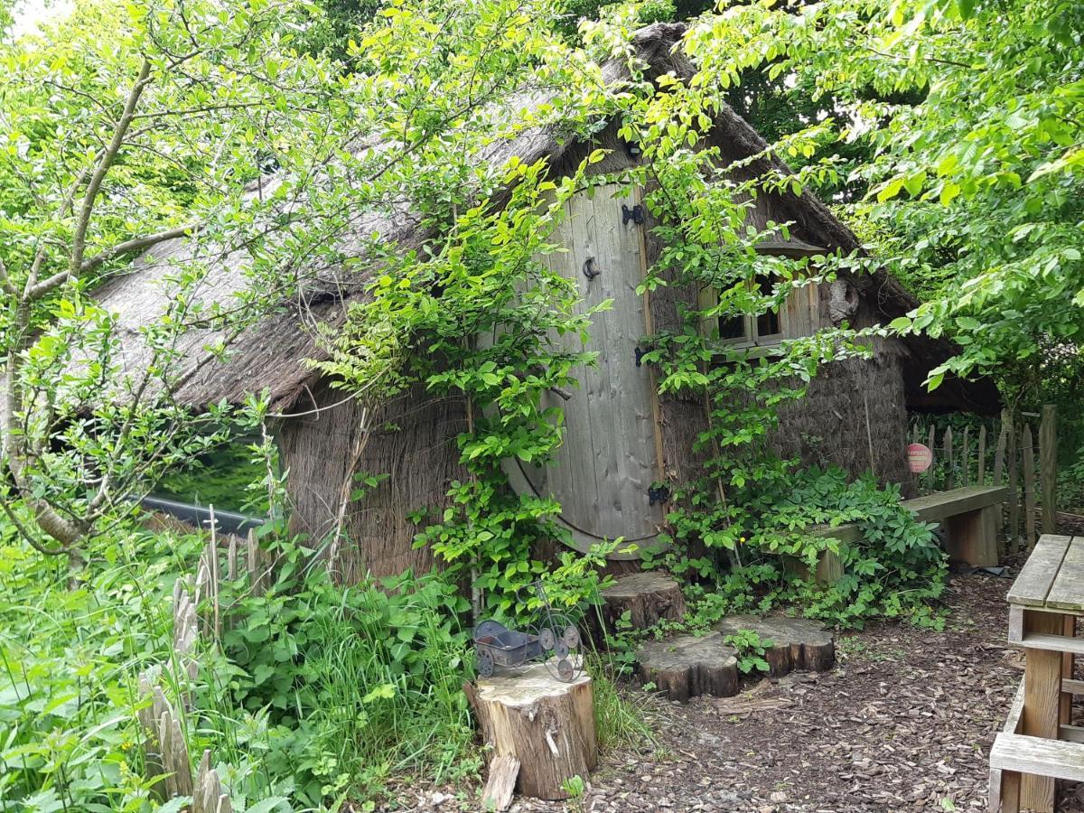 Cabane D'Augustin Saint-Augustin  Exteriér fotografie